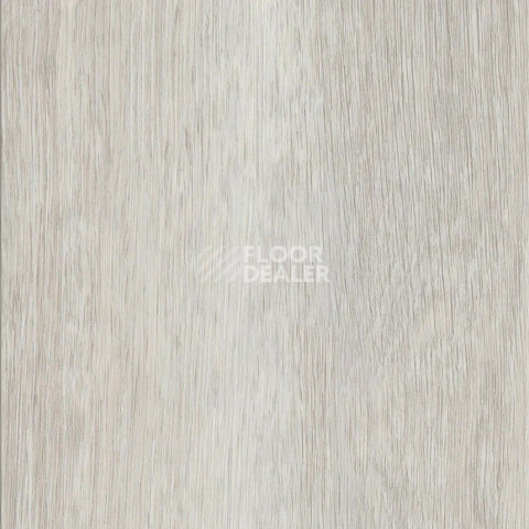 Кварцвиниловые полы AW Invictus Maximus Plank French Oak Polar фото 1 | FLOORDEALER